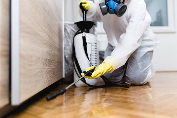 Best Mosquito Control Services  in Holtville, CA
