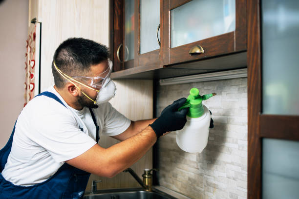Best Pest Control Near Me  in Holtville, CA