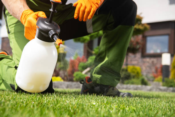 Flea Control Services in Holtville, CA