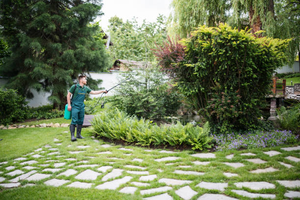 Best Wildlife Control Services  in Holtville, CA