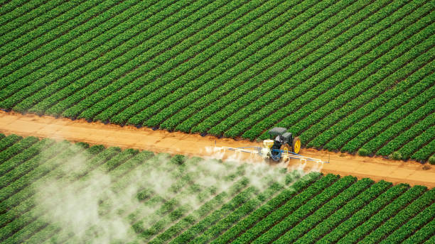 Best Pest Control Near Me  in Holtville, CA