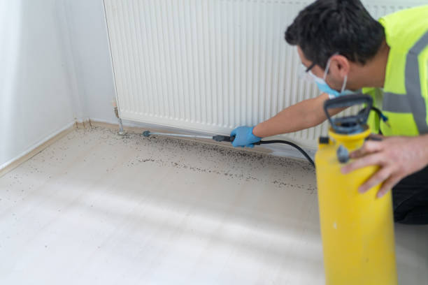 Best Best Pest Control Companies  in Holtville, CA